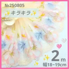 №250805 チュールレース