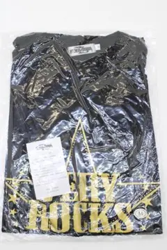 Item thumbnail for item ec6eb921-633b-463e-93ee-b1f2e9aed7d5