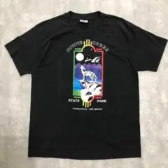 90s USA製 hanes coyote creek フェード Tシャツ