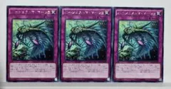 遊戯王　バージェストマ・マーレラ　3枚
