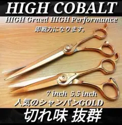 Item thumbnail for item 08cd24dd-26ab-46dd-8f22-c90afbb35f9a