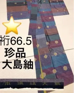 ⭐️珍品 大島紬 カラフル 花飛び柄