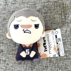 ハイキュー!! もちぴこぬいぐるみ4 田中龍之介　1個 ①
