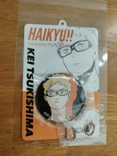 ハイキュー 缶バッジ＆特製ホルダーコレクション 月島　烏野