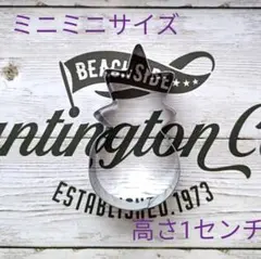 パイナップル（ミニミニサイズ）クッキー型　ハワイ　南国