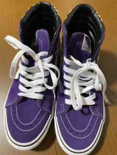 VANS インター スケハイ