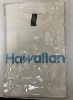 Hawaiian6 白✕水色 Tシャツ 未開封 Lサイズ