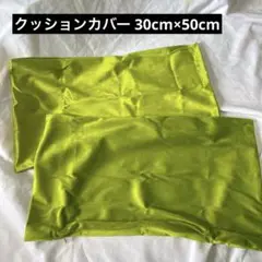 ✨未使用✨ オーブライド クッションカバー くっしょん ベルベット 2枚セット
