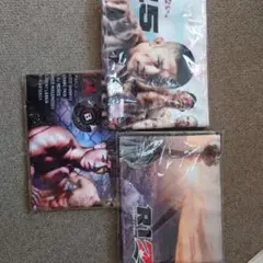 RIZINタオル3枚セット