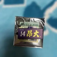 楽天イーグルス お名前キーホルダー