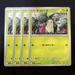 チコリータ　C　4枚セット　M1S