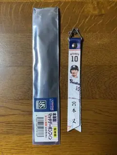 ヤクルトスワローズマッチデーボンフィン　2025.8.22〜8.24 宮本丈