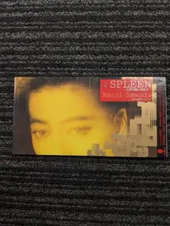 沢田研二 「SPLFEEN~六月の風にゆれて~」 中古8cmCDシングル