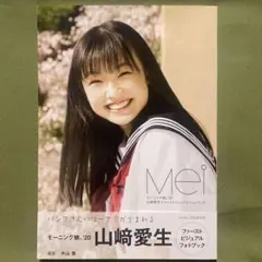 山崎愛生FSKセット 山崎愛生FSKセット - メルカリ