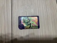 ポケモン フレンダオーガポン