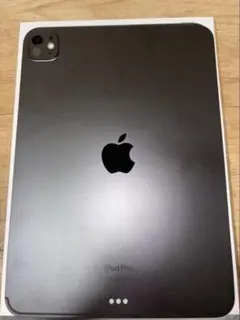 Apple iPad Pro (11インチ) 256GB スペースグレー