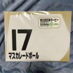 Item thumbnail for item 302cb609-f2b8-4fcf-8a11-c002200149e7