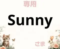 専用
