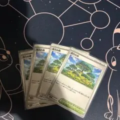 ポケモンカード　活力の森　４枚