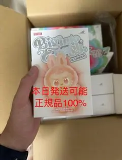 【正規品・未開封】Labubu Big into Energy 1箱