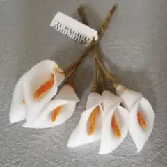 Item thumbnail for item 61dda974-d375-4d8b-830c-9ecd19044958