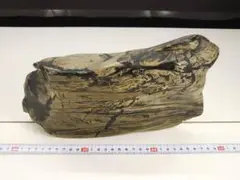 5kg 鑑賞石 水石 盆石 台なし 幅29x奥7x高16cm 12504B08