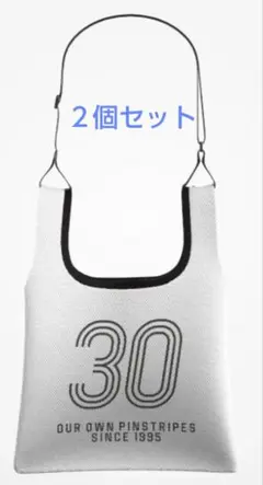 千葉ロッテマリーンズ　メッシュショルダーバッグ