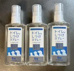 Item thumbnail for item 6b6f47dc-f7c1-409a-a7b5-6394ec3e21f7