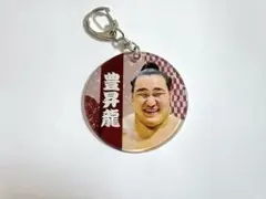 《 豊昇龍 》 大相撲ガチャ やわらかクリアチャーム