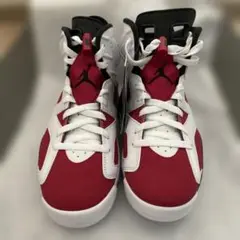 新品未使用 AIR JORDAN 6 エアジョーダン6 カーマイン 26.5cm