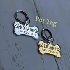 Item thumbnail for item c62278b1-bfbc-49c2-bc10-9e7ab6898a91