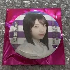 乃木坂46矢田萌華　個別ランダム缶バッジ 9月公演 真夏の全国ツアー2025