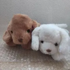 犬 ぬいぐるみ セット ホワイト ブラウン