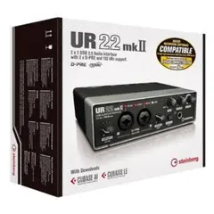 Steinberg UR22mkII