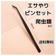 ▽エサやりピンセット メンテナンス用 掴みやすい ステンレス製