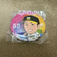 Item thumbnail for item f5f6f98b-2496-4a35-bc6a-3090bf42a559