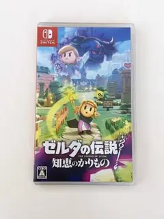 ゼルダの伝説 知恵のかりもの Nintendo Switch