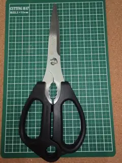 Item thumbnail for item 66fa13f9-ed6a-4b7c-9fd8-41113eb3a0bd