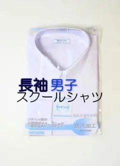 Item thumbnail for item 5462f093-fcdc-406e-aad1-a02734361a35