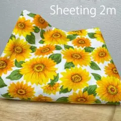 期間限定【特価】2ｍ★綿シーチング生地★布ひまわり花柄ヒマワリ植物★イエロー夏柄