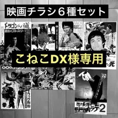 ブルース・リー チラシ集 未開封 激レア 希少 当時物 更に値下げ！激レア 希少 限定1セット ブルース・リー 非売品