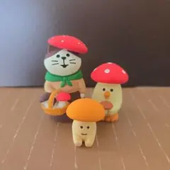 ☆コンコンブル☆　きのこ採れました♪