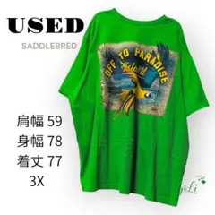 USED SADDLEBRED オウムグリーンアメリカ製 Tシャツ 3X