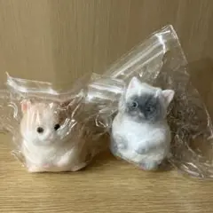 猫　スクイーズ