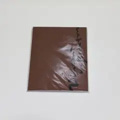 正門良規　ヴィンセントインブリクストン　パンフレット