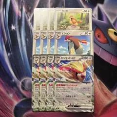ポケモンカード　ピジョットex ピジョン　ポッポ　マッハサーチ　12枚