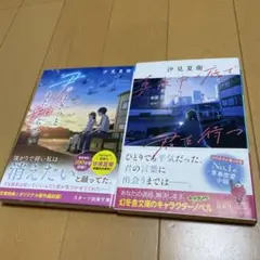 汐見夏衛2冊セット　君はきっと
