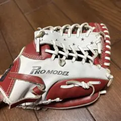 【阪神タイガース】赤星選手　サイン入り　バッティング手袋　本人使用 元阪神タイガース 赤星憲広選手使用バッティンググローブ