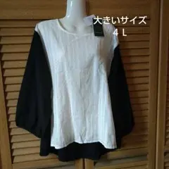 Item thumbnail for item 395aee47-23b0-4688-a2d1-cdd238a30801