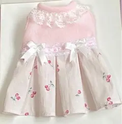 Item thumbnail for item 50c64548-7db1-47e7-aea6-e248d9be1e88